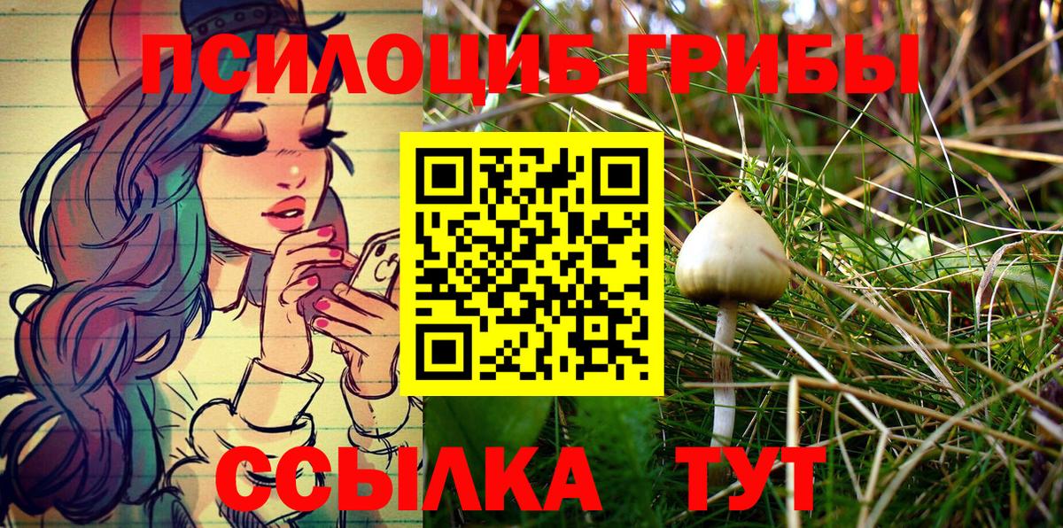 Галлюциногенные грибы ЛСД Долгопрудный