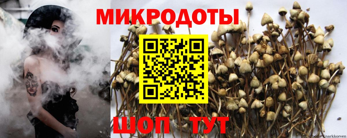 продажа наркотиков  Псилоцибиновые грибы Psilocybine cubensis  Галлюциногенные грибы Cubensis  Вход с VPN  Долгопрудный 